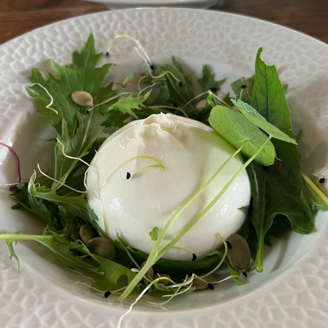 Image alt description