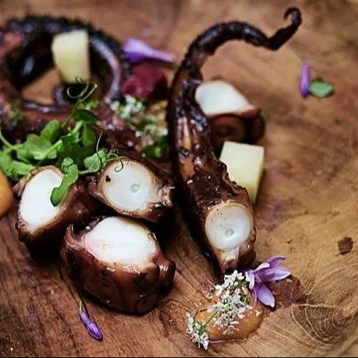 Image alt description