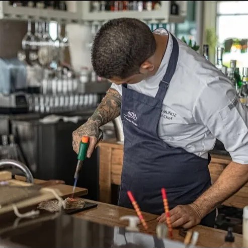 Image alt description