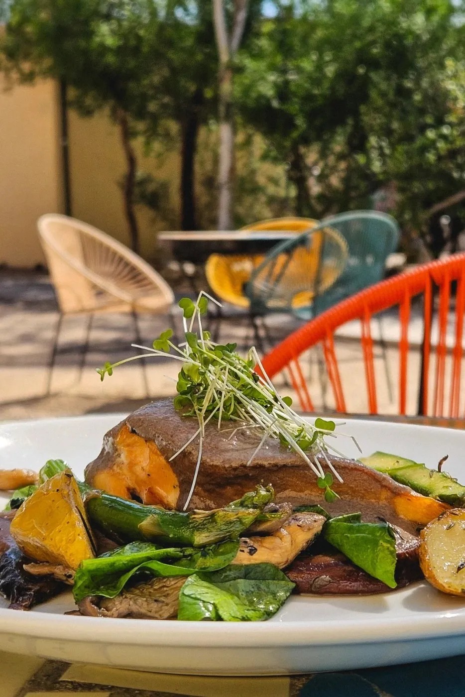 Image alt description