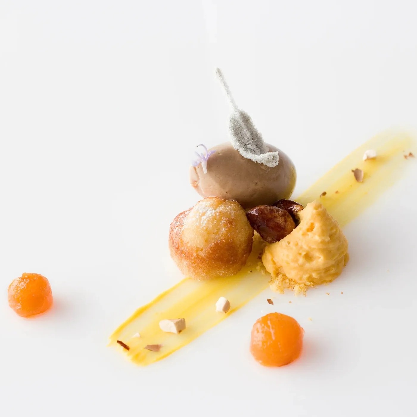 Image alt description