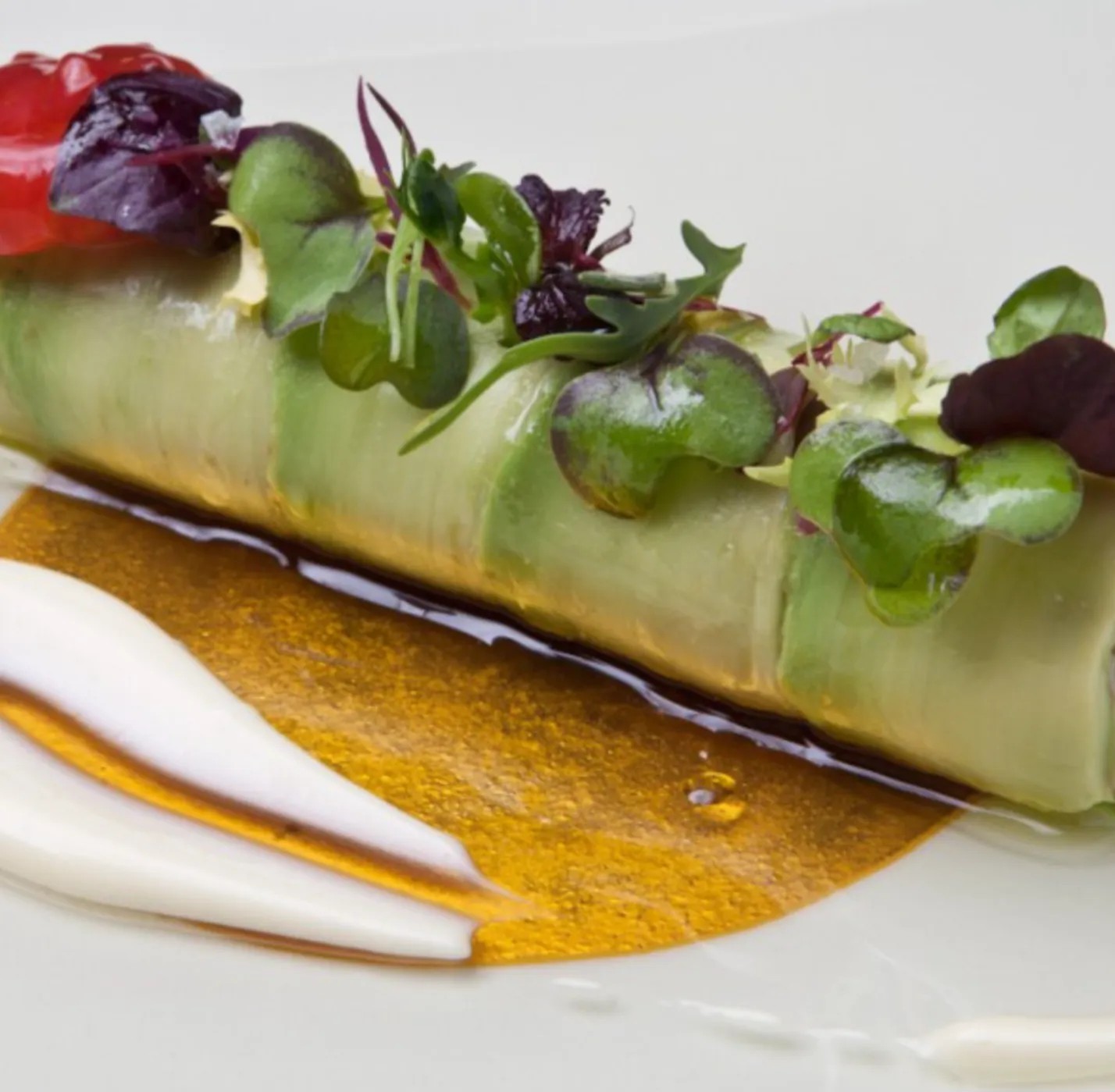 Image alt description