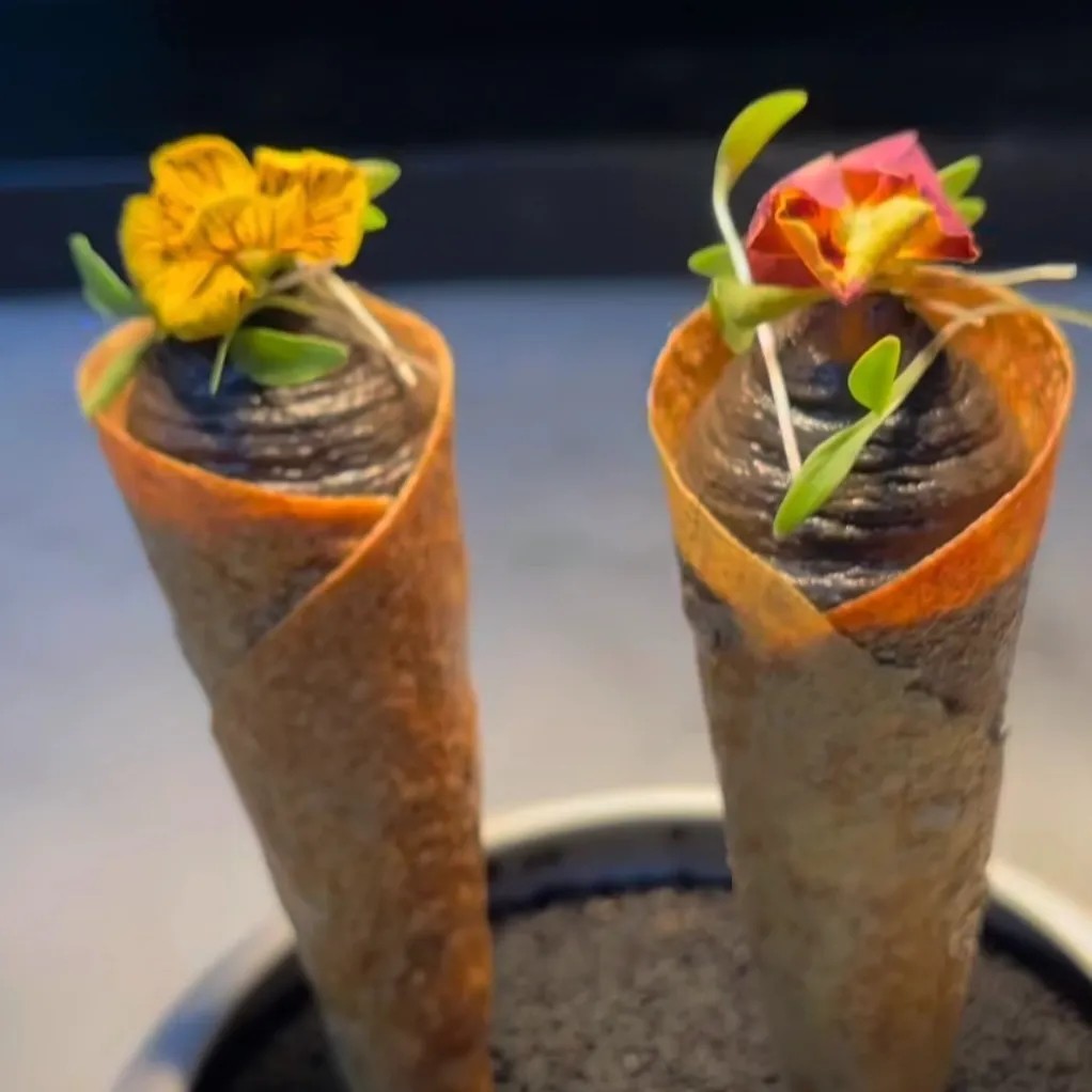 Image alt description