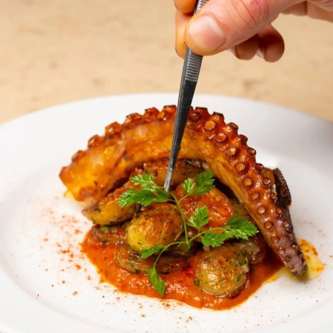 Image alt description