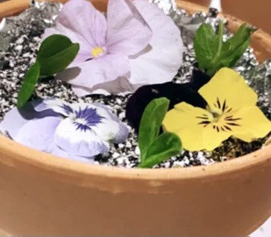 Image alt description