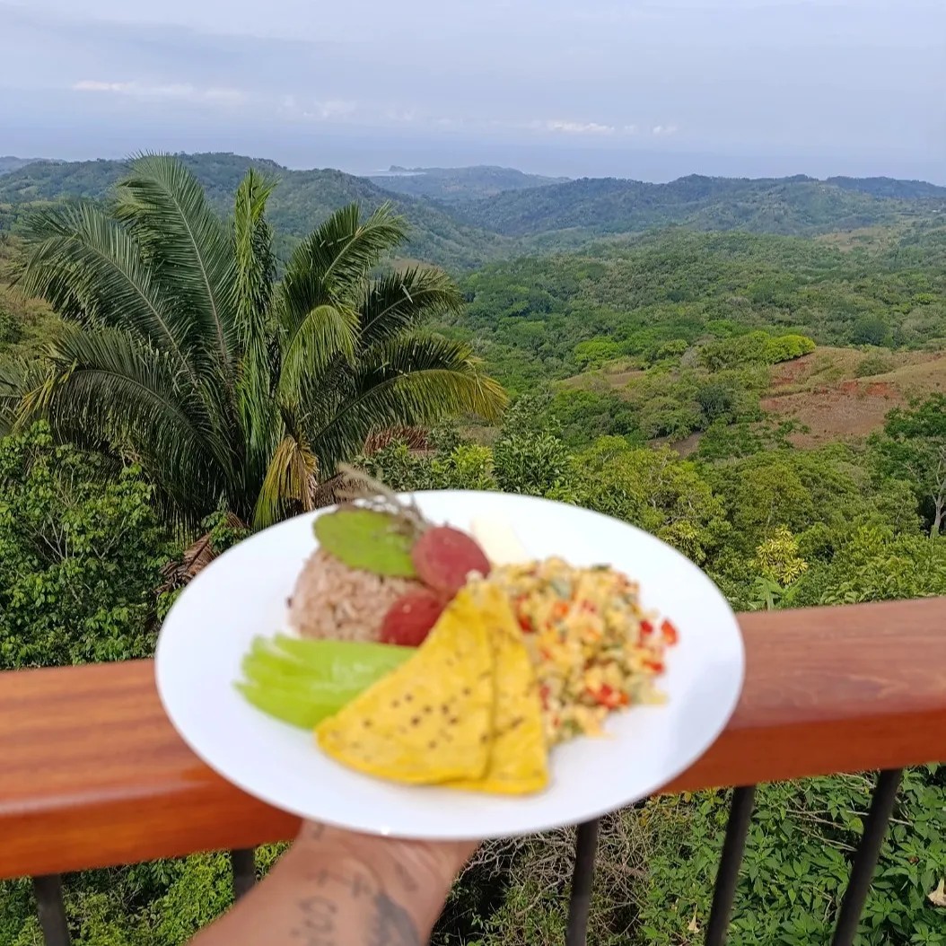 Image alt description