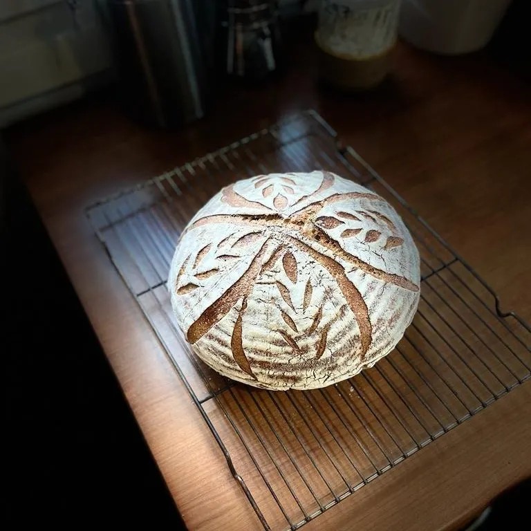 Image alt description