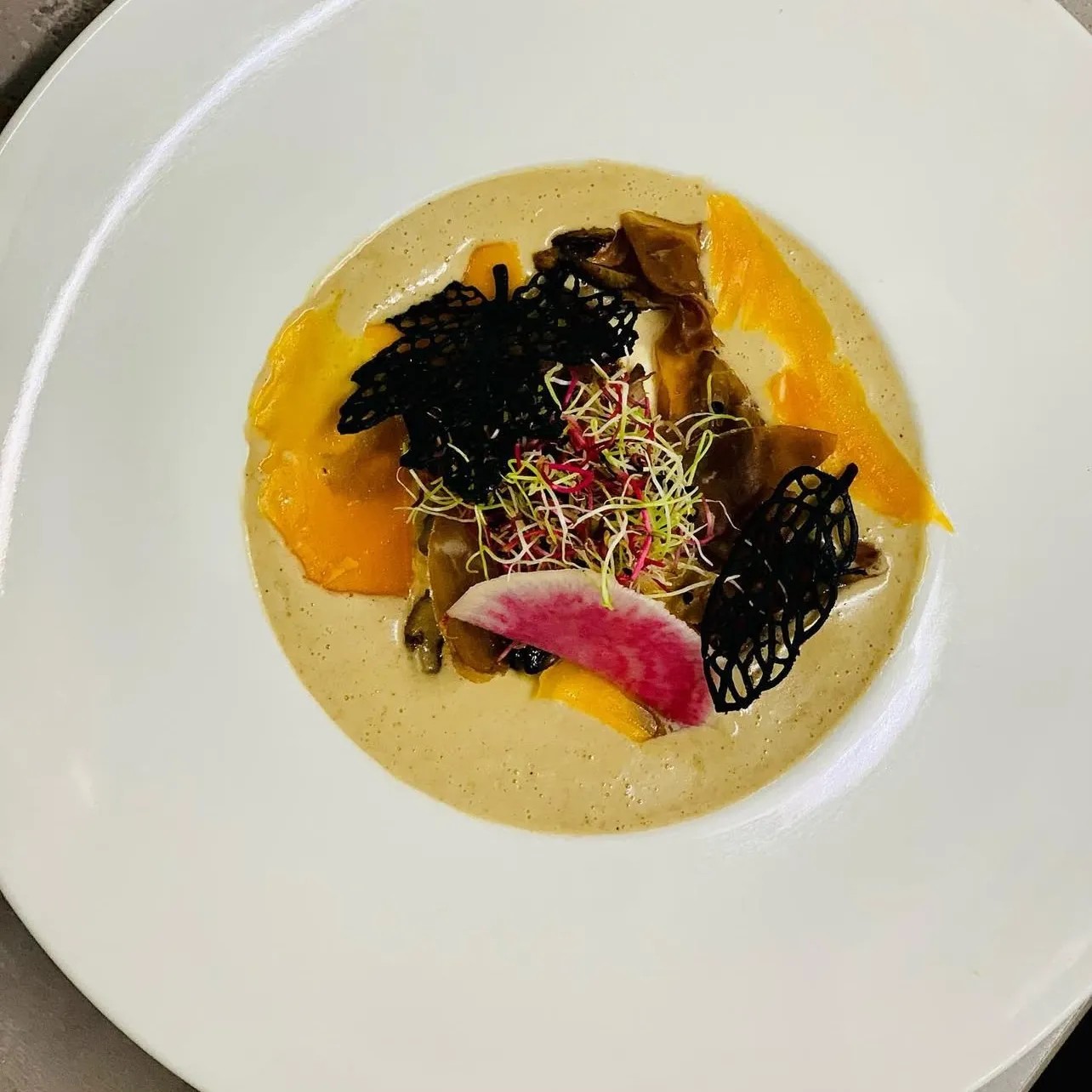 Image alt description