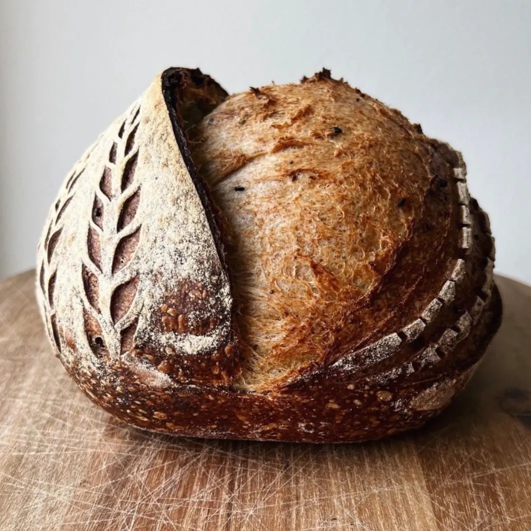 Image alt description