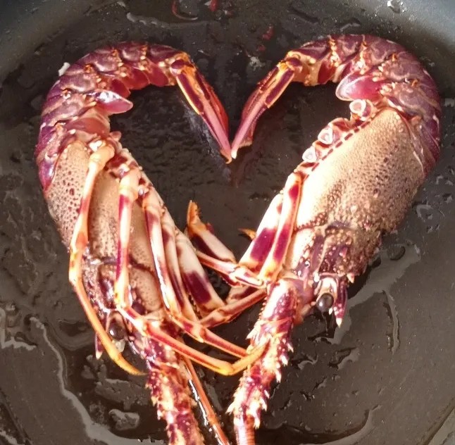 Image alt description