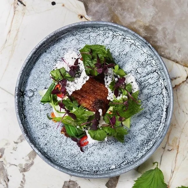 Image alt description