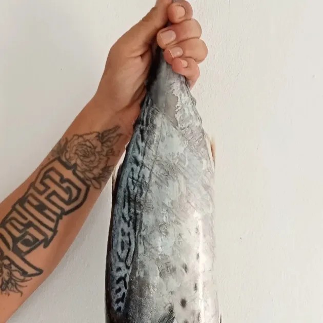 Image alt description