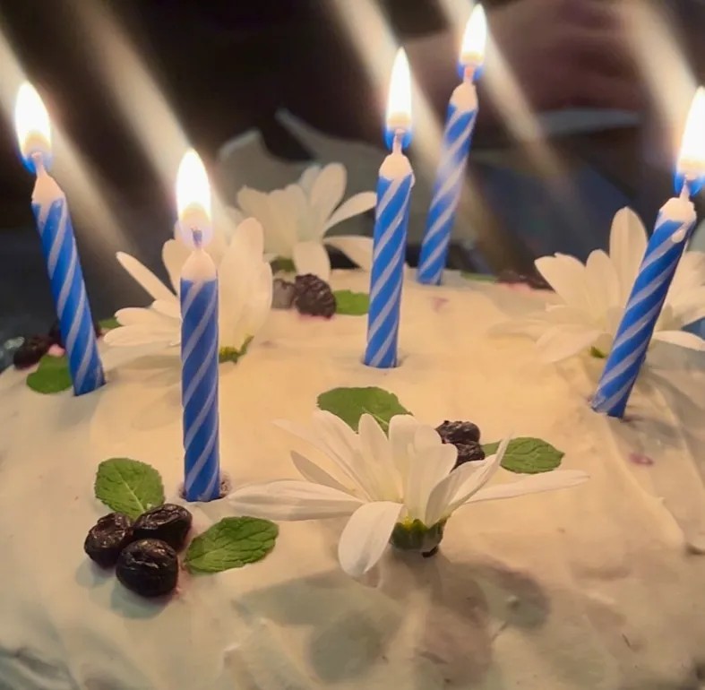 Image alt description