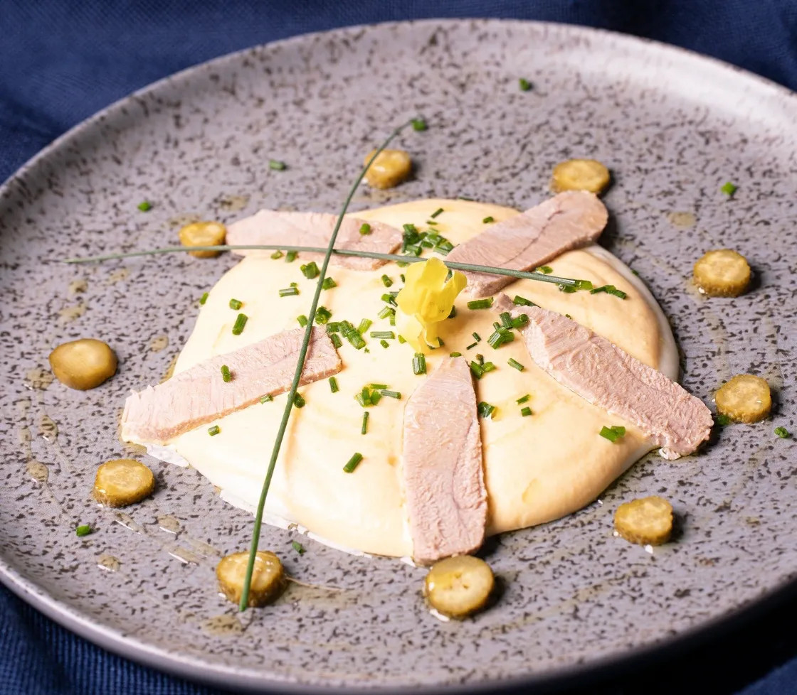 Image alt description