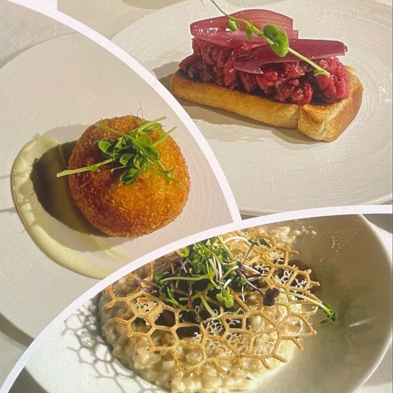 Image alt description