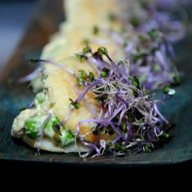 Image alt description