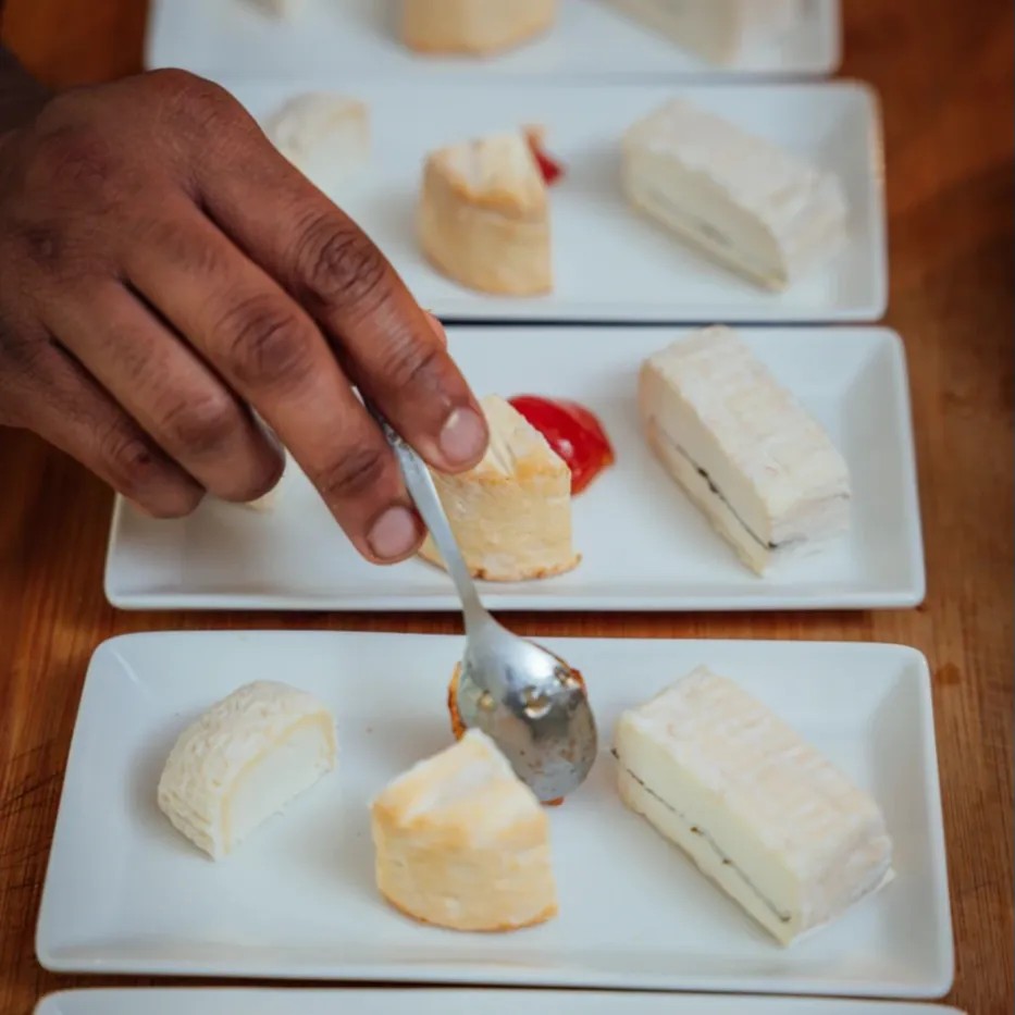 Image alt description