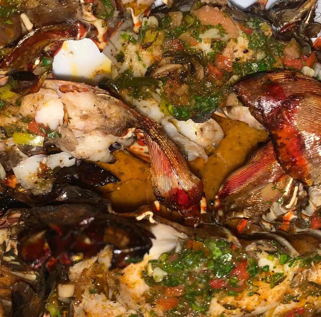 Image alt description