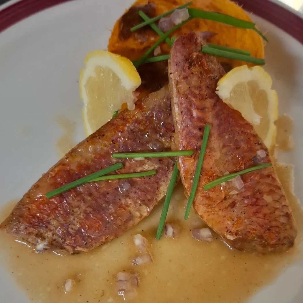 Image alt description