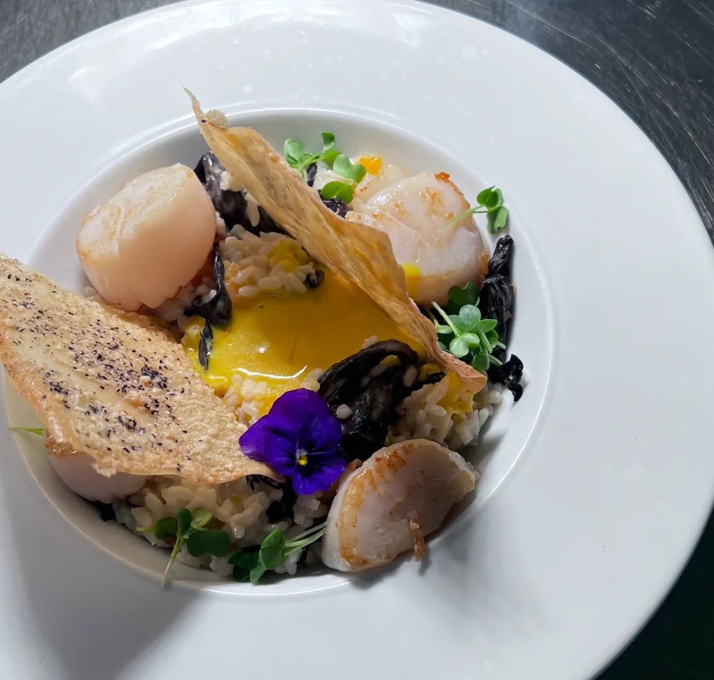 Image alt description