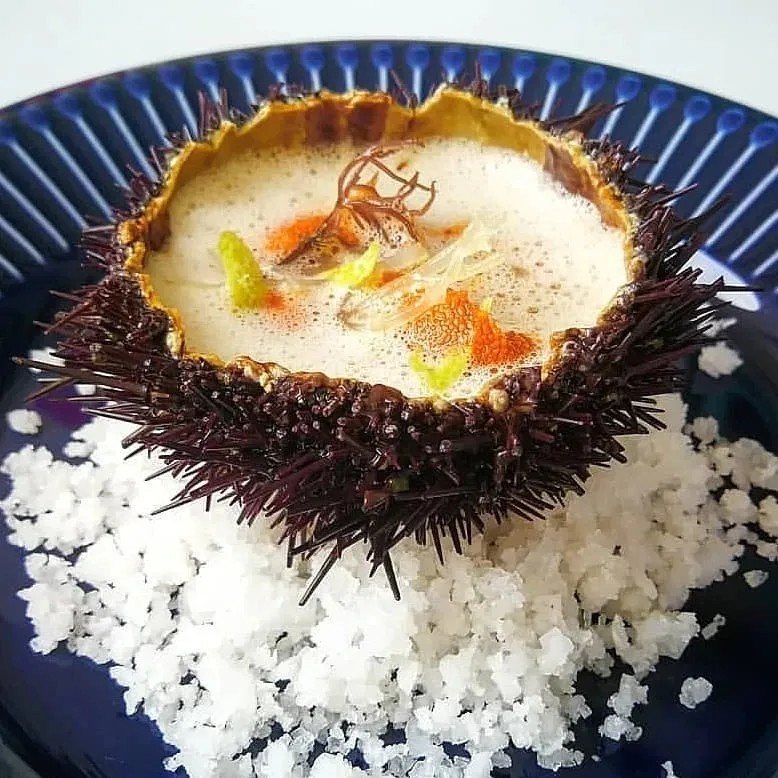 Image alt description