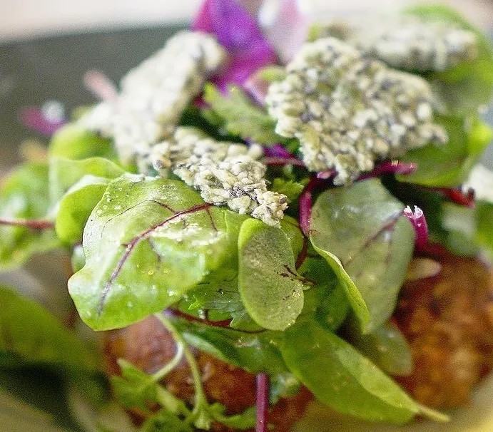 Image alt description