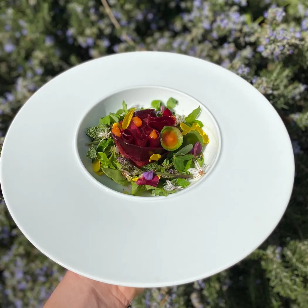 Image alt description