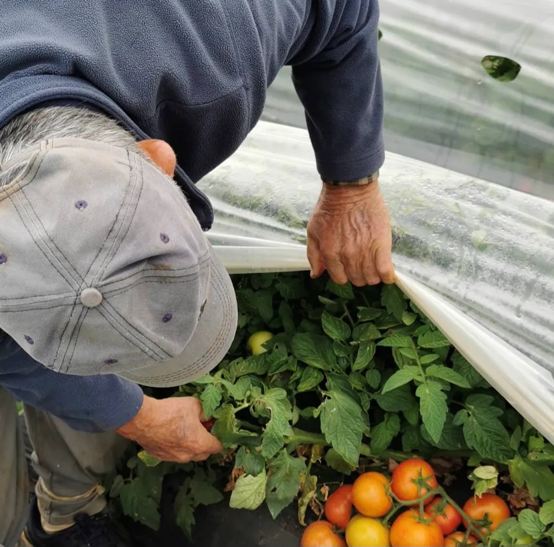 Image alt description