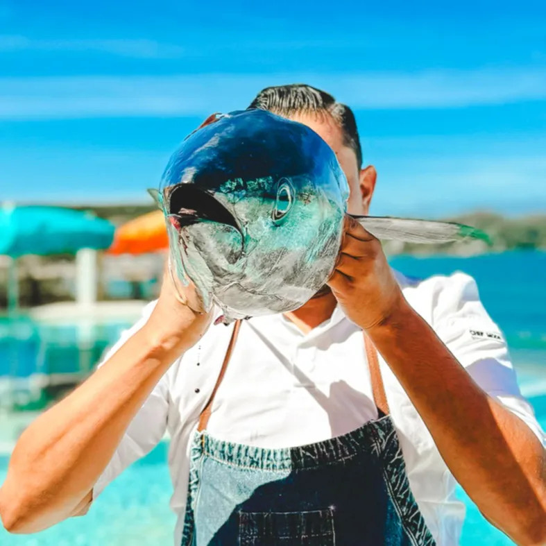 Image alt description