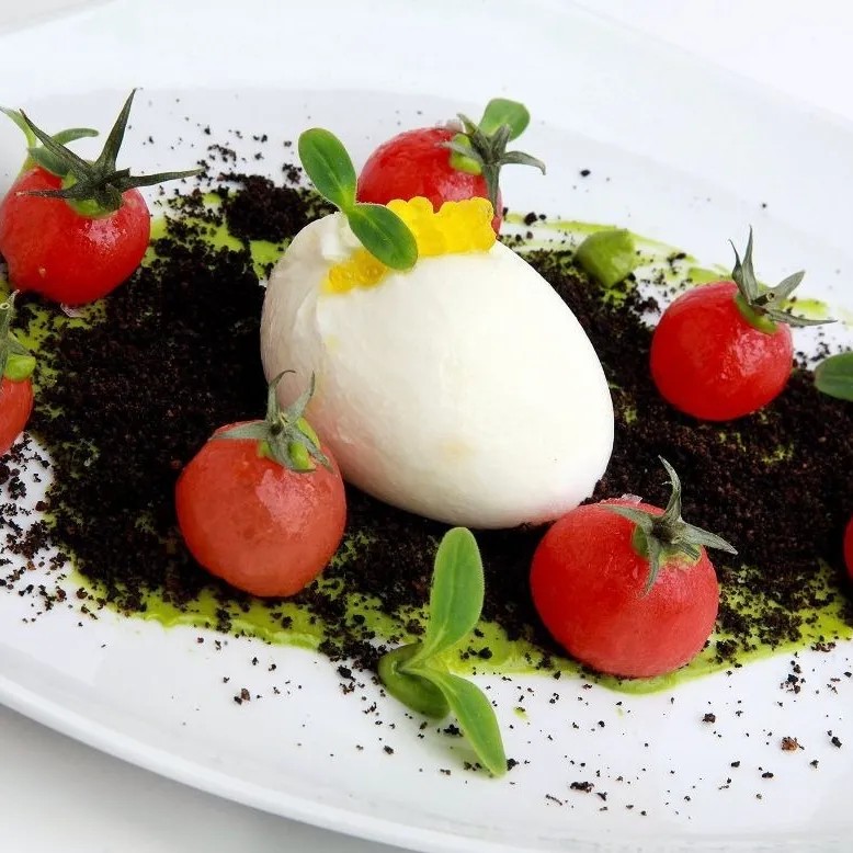 Image alt description