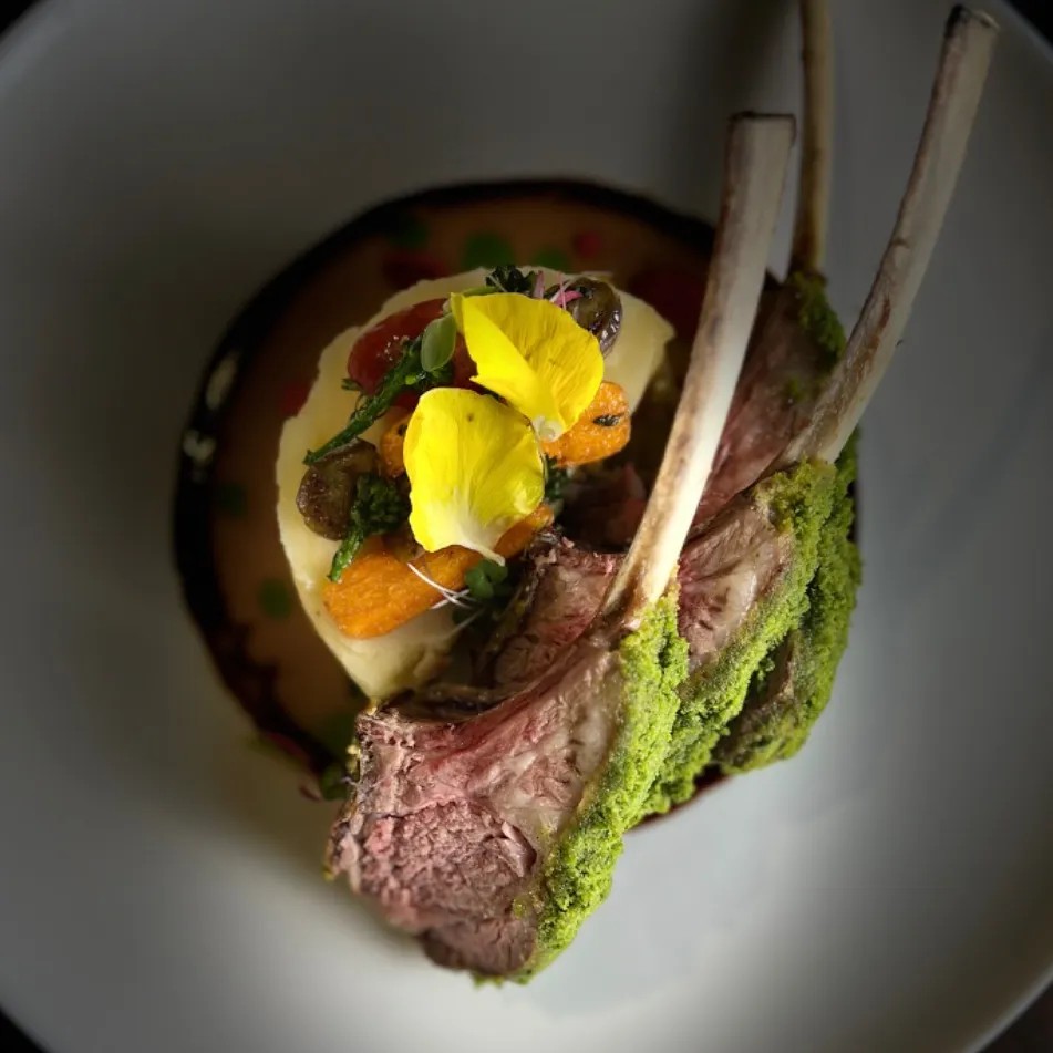 Image alt description