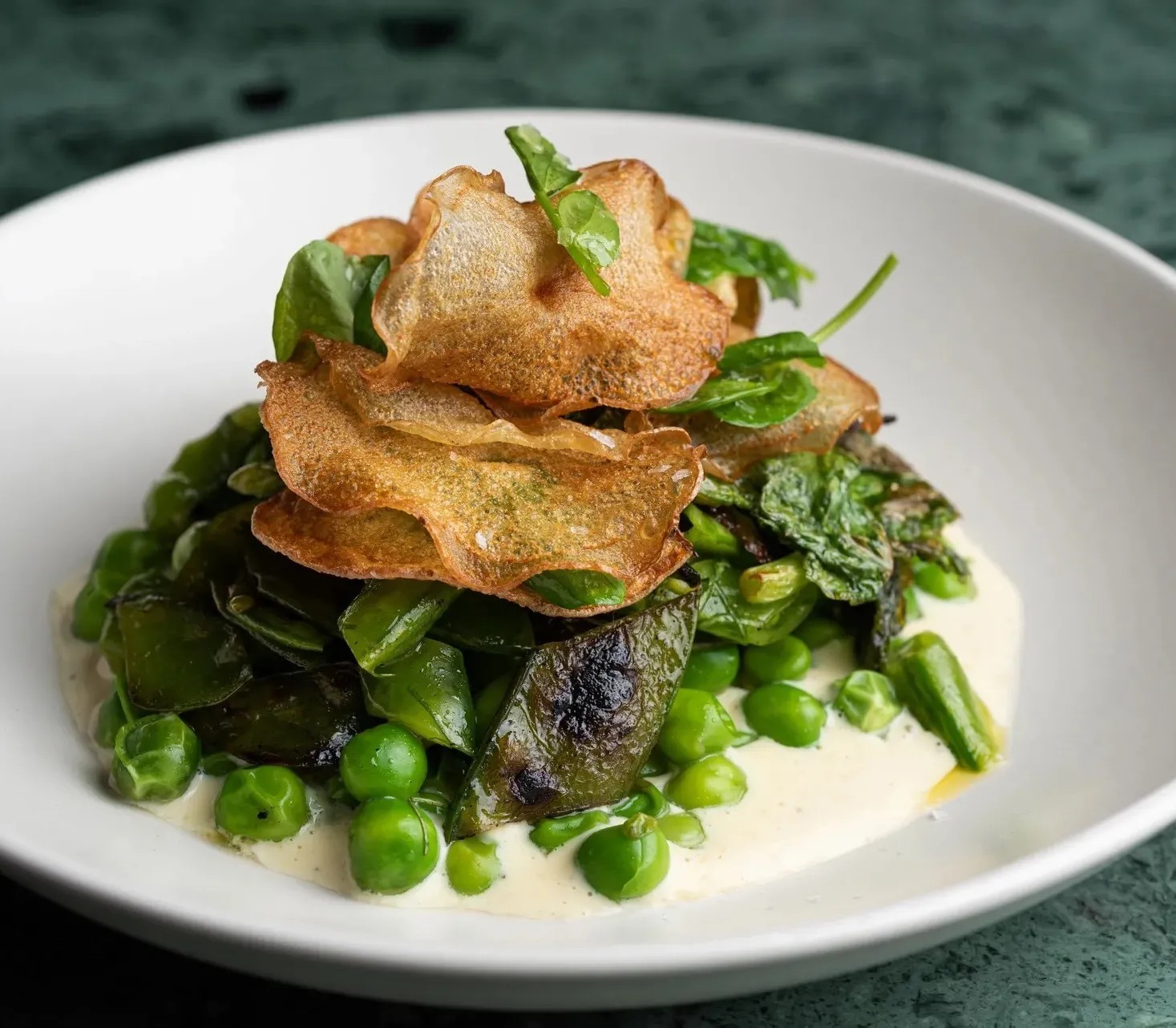 Image alt description