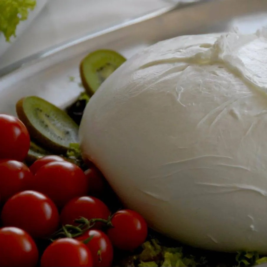 Image alt description