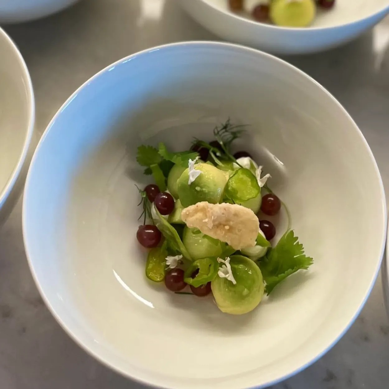 Image alt description