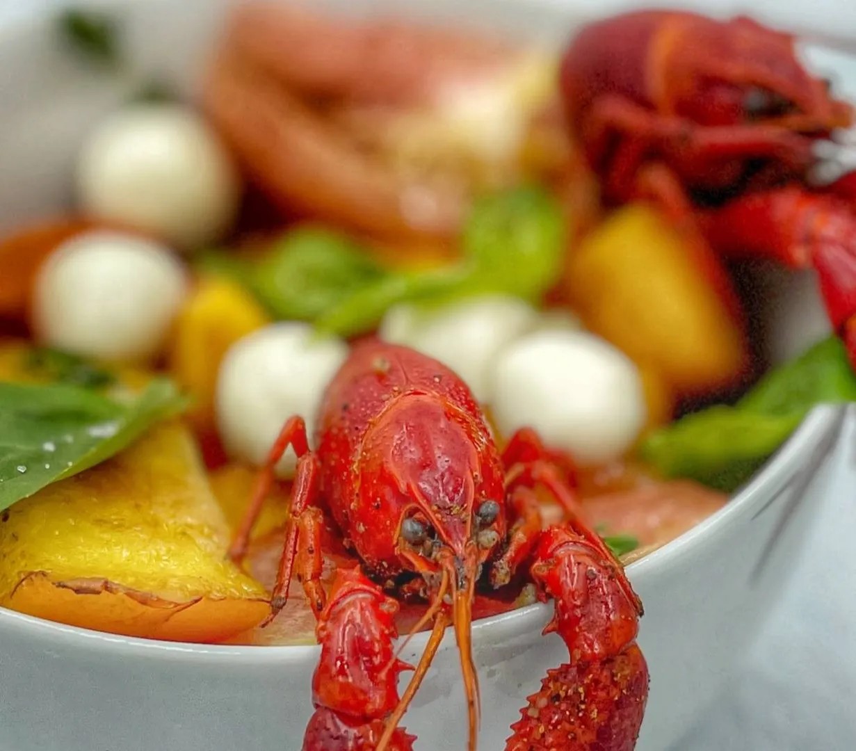 Image alt description