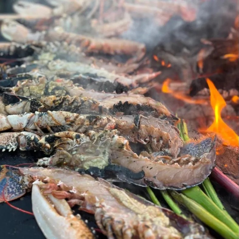 Image alt description