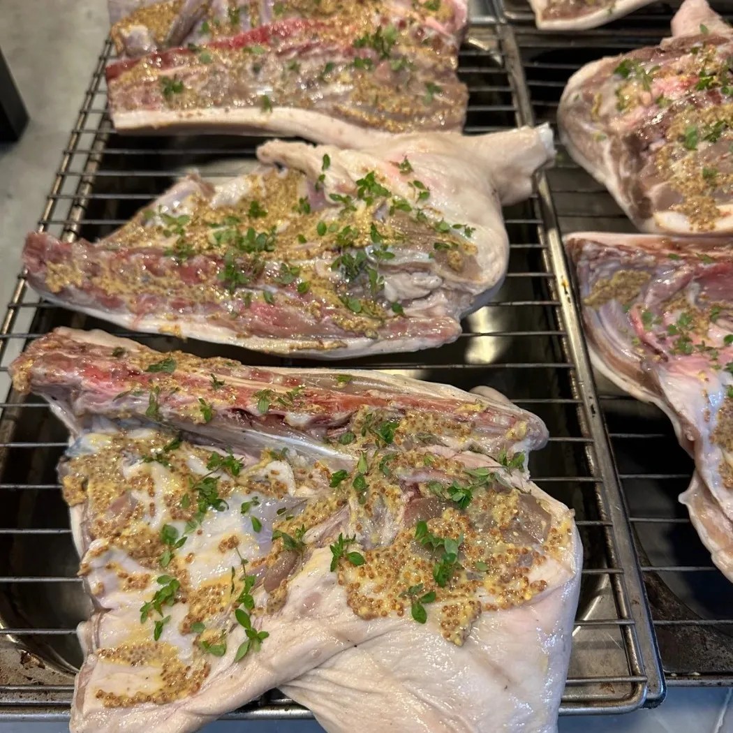 Image alt description