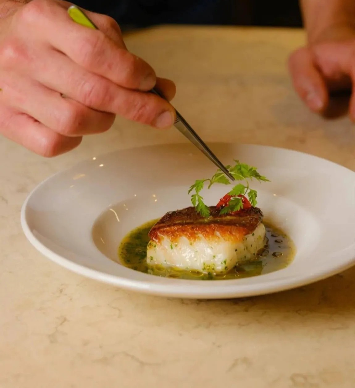 Image alt description