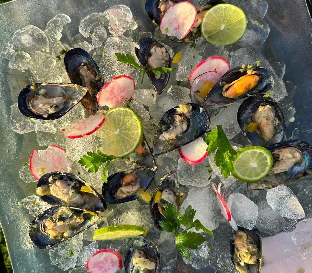 Image alt description