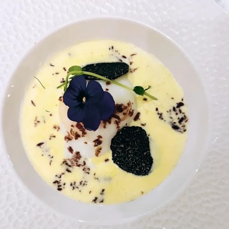 Image alt description