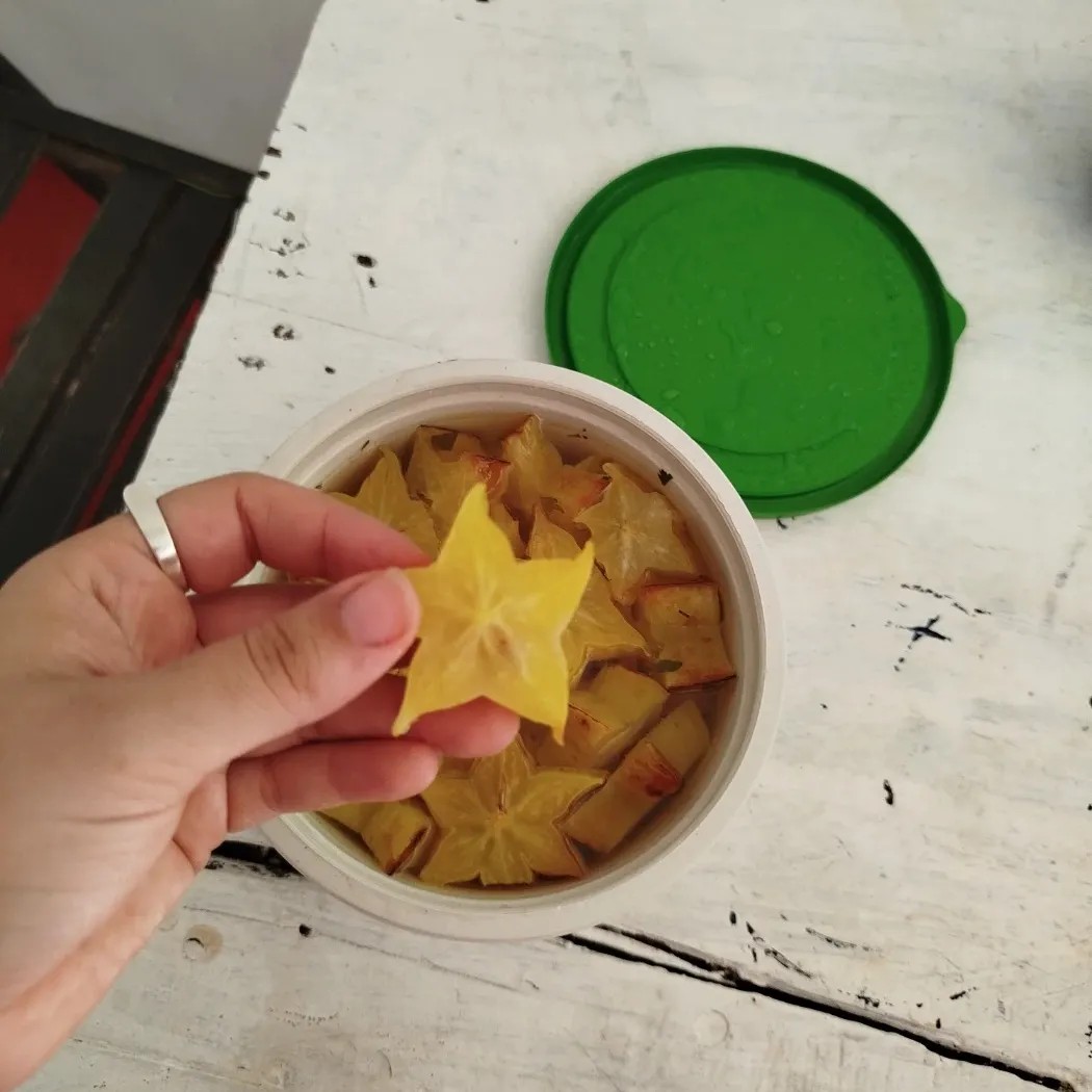 Image alt description