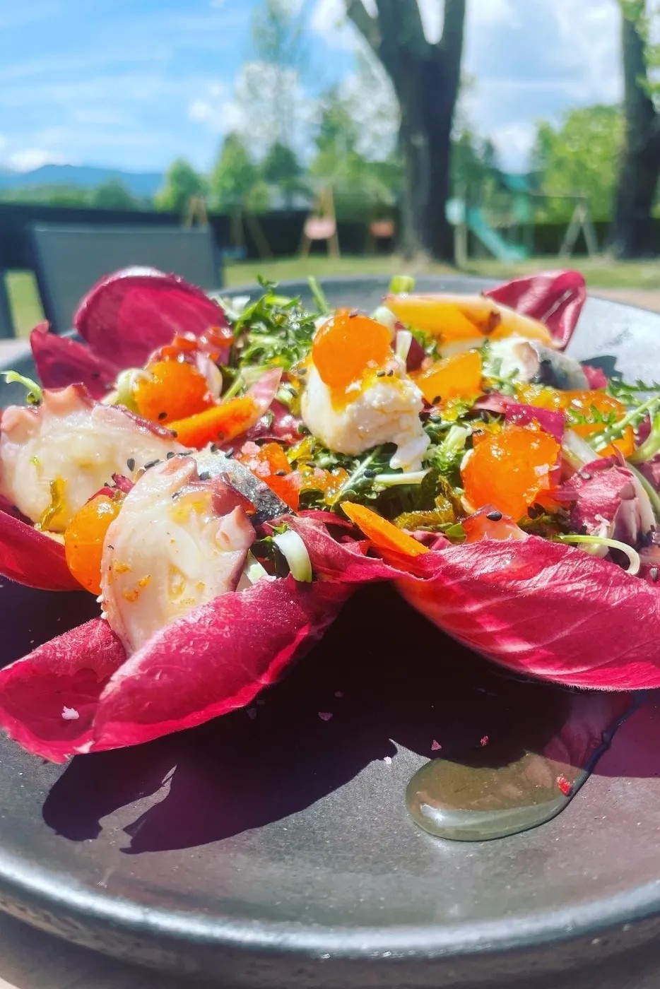 Image alt description