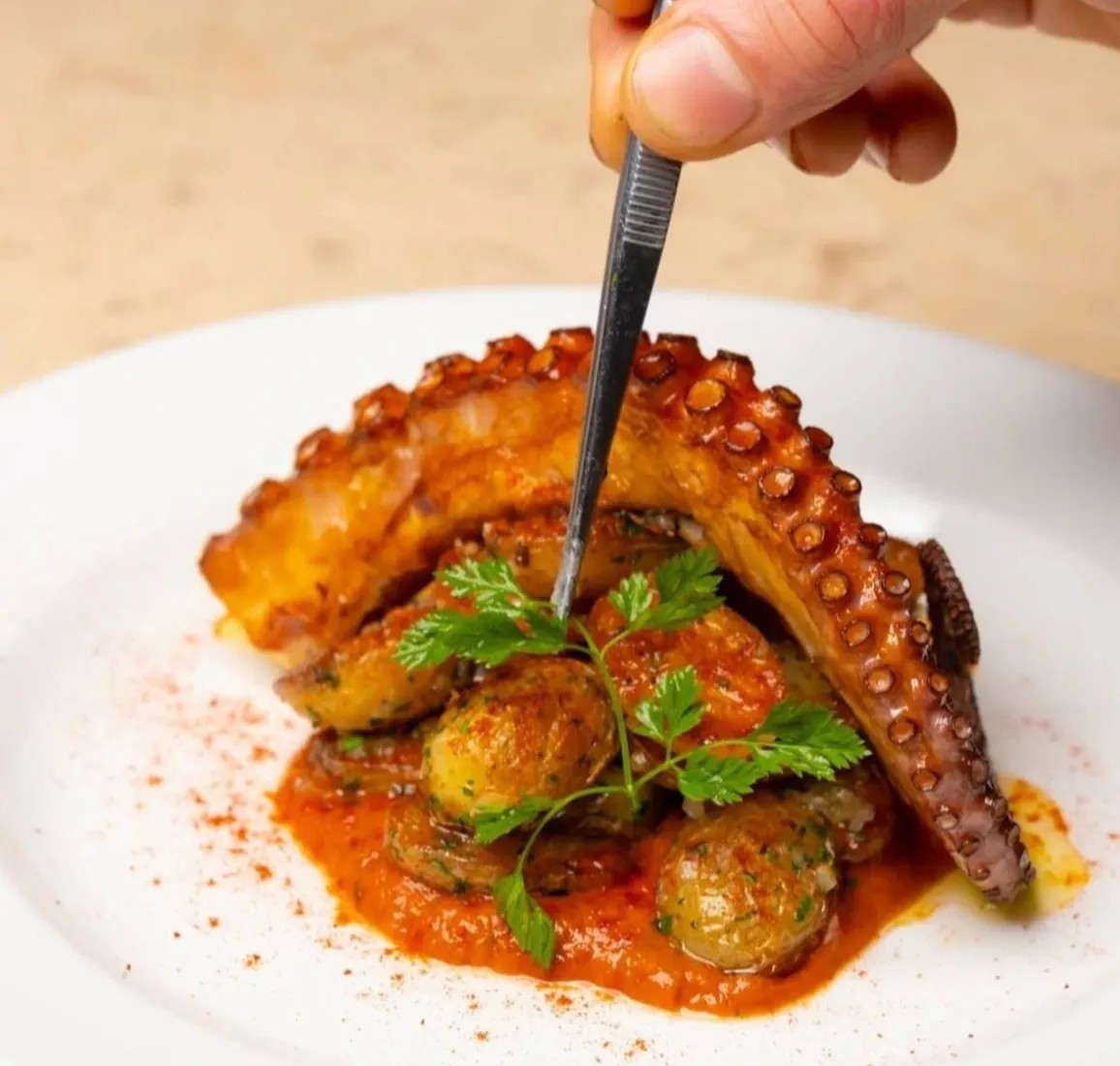 Image alt description