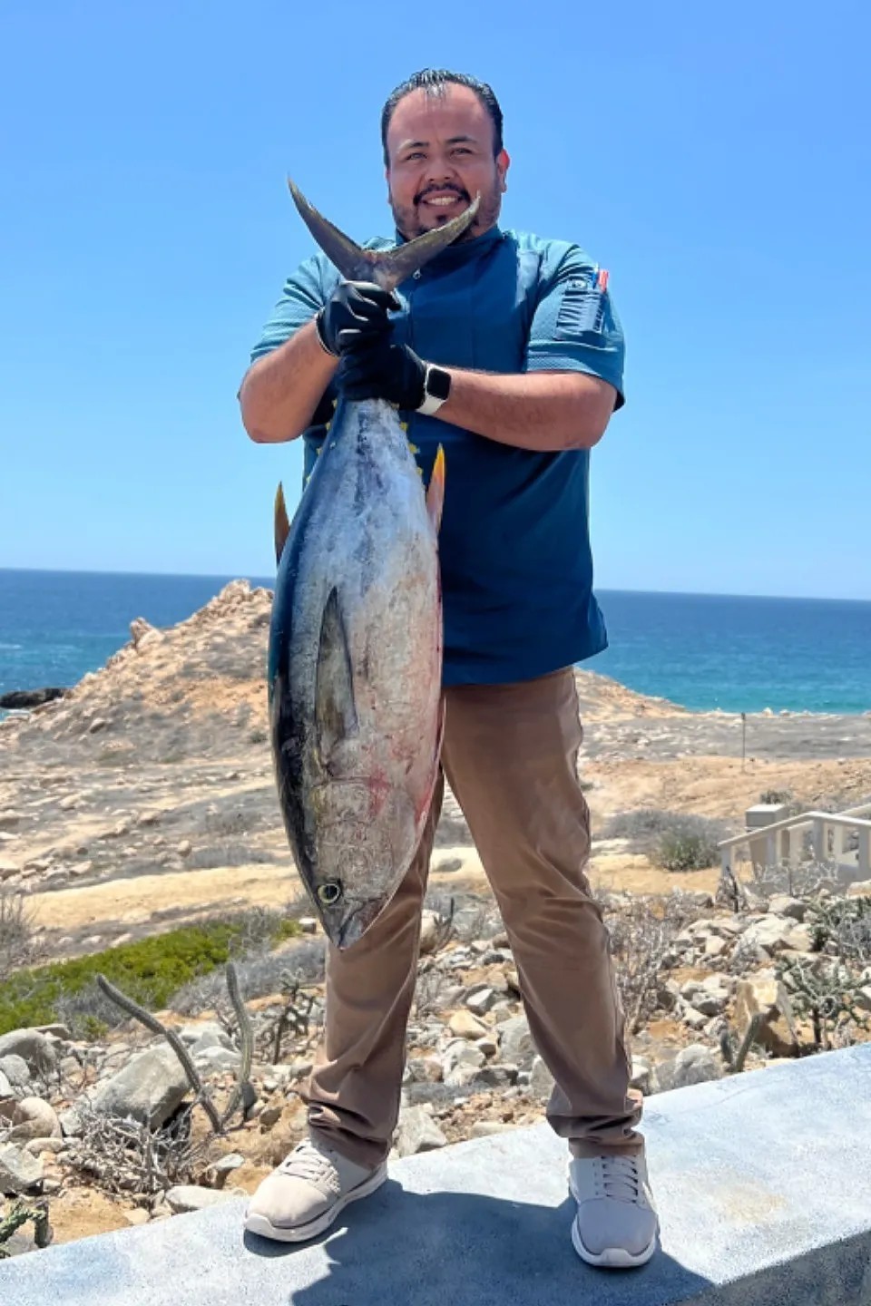 Image alt description