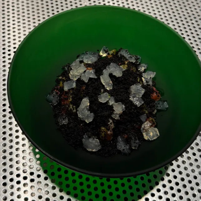 Image alt description