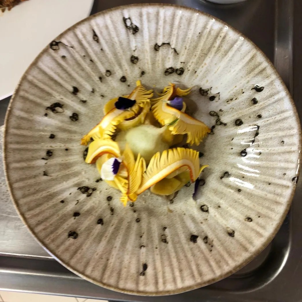 Image alt description