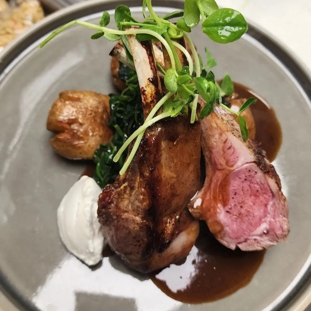 Image alt description