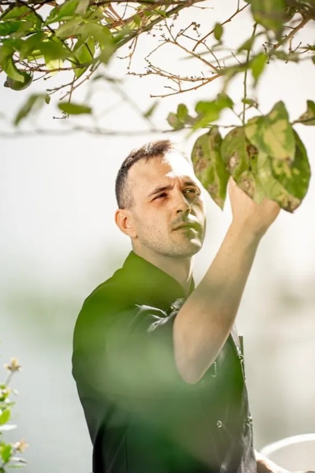 Image alt description