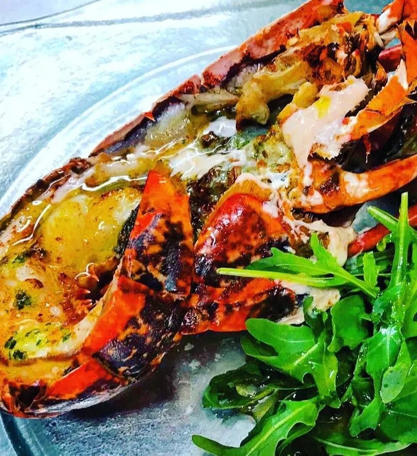 Image alt description