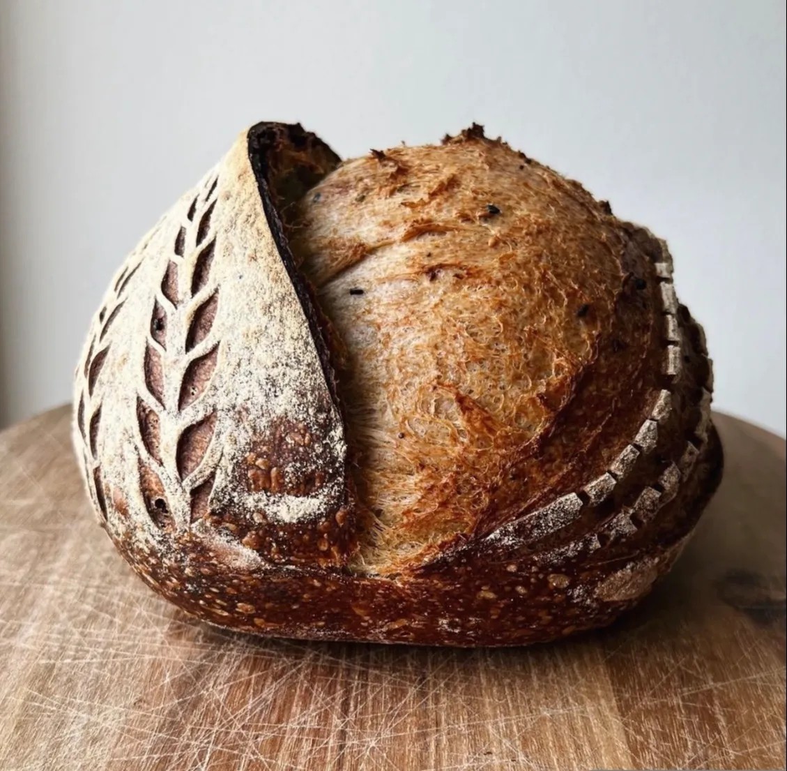 Image alt description